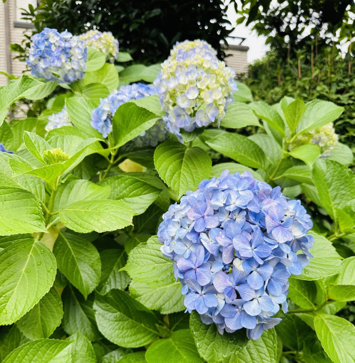 開設しました！！